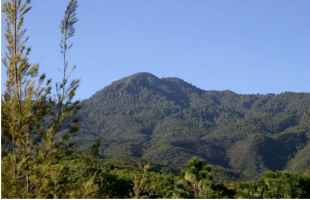 Tepeyac National Park